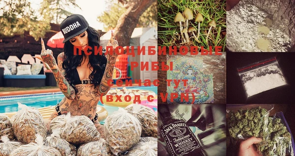 бошки Алзамай